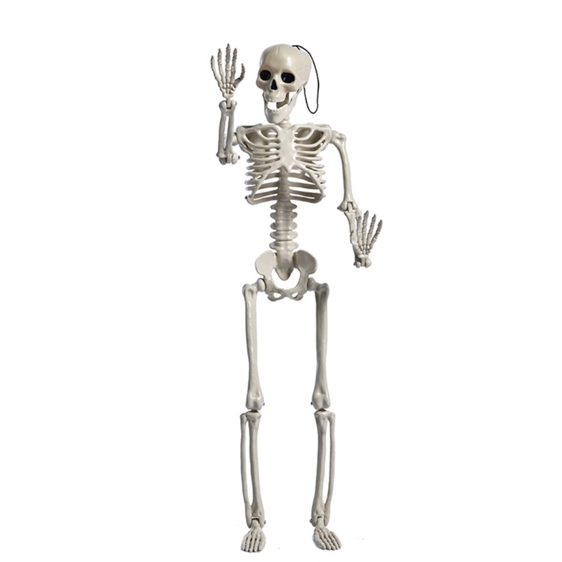 Set Tengkorak Full Body Dengan Sendi Bergerak Untuk Dekorasi Pesta Halloween