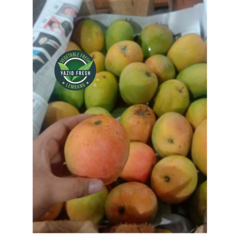 

mangga Gedong gincu ½kg