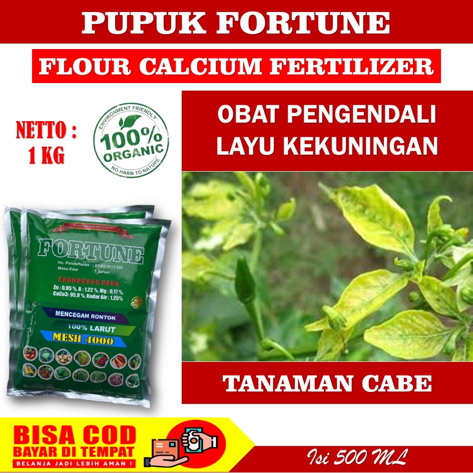 Pupuk FORTUNE 1 Kg Pupuk Kalsium - Obat Cabe Daun Kuning Keriting dan Rontok Terbaik - Pupuk Kalsium