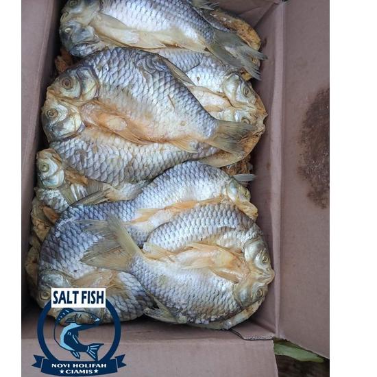 

KODE8p3Od--ikan asin tawes besar ;500gram