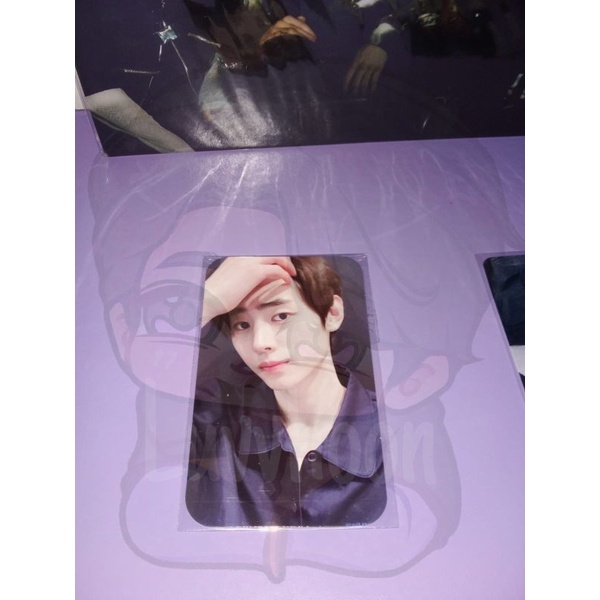 Pc Neck Pillow ( NP ) Global Sunghoon Enhypen