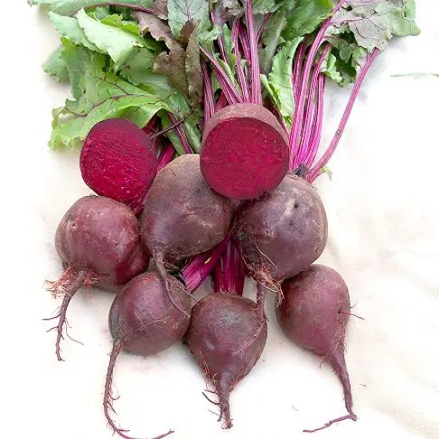 Benih Buah Organic Red Beet Buah Ubi Merah Beetroot Benih Buah-buahan Berkualitas