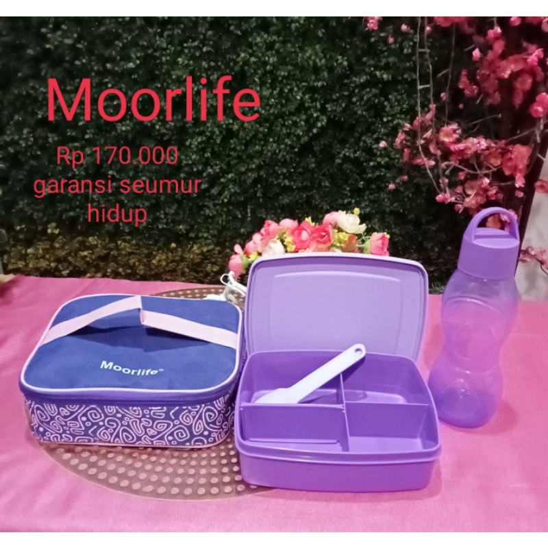 Qiana set Moorlife