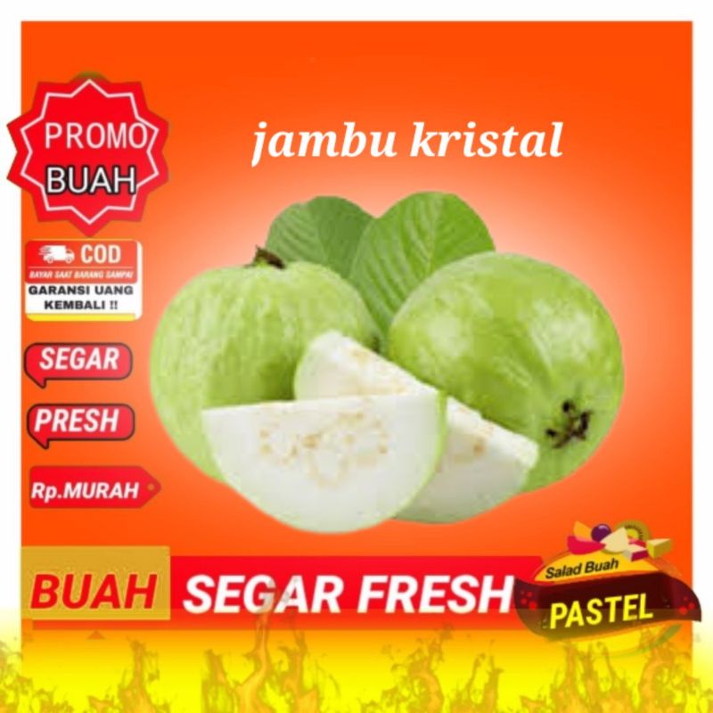 Jual Buah Jambu Biji Kristal Segar 1kg Shopee Indonesia 