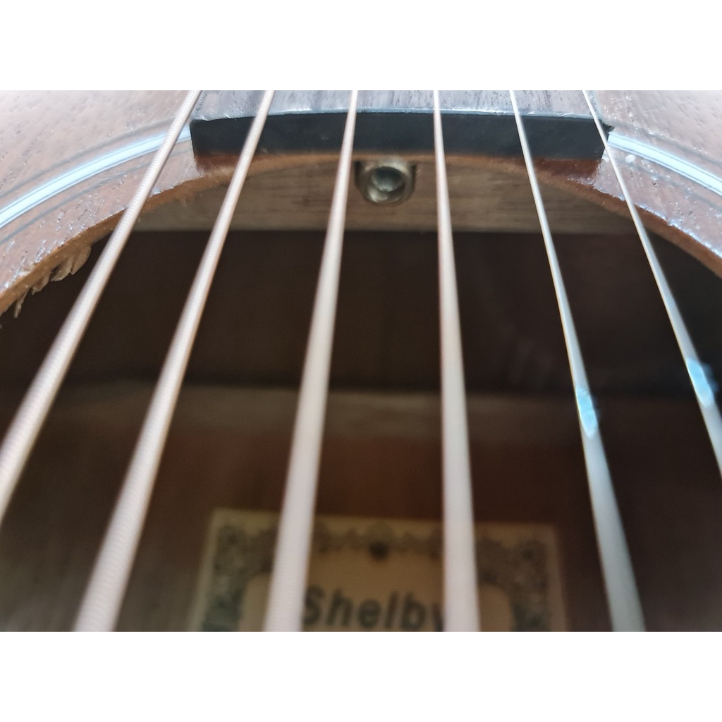 Gitar Akustik Merk Shelby Original Tipe GWC-235 NA NS Senar String Trusrod Murah Jakarta