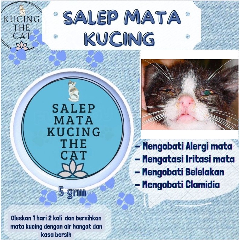 Salep The Cat Obat Mata Kucing Clamidia Salep Mata Kucing Ampuh Kitten dan Adult