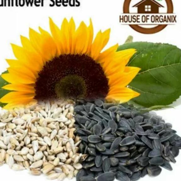 

Code0r5Qf--Sunflower Seeds (Biji Bunga Matahari) atau kuaci 500gr