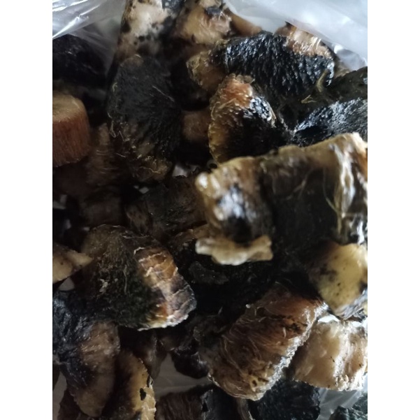 

gaplek/singkong/ketela/gathot