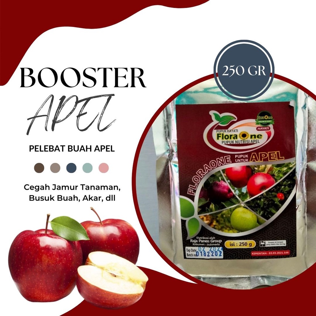Pupuk Pelebat Booster Apel Perangsang Buah Apel, Booster Hayati Apel Fuji Malang Agar Cepat Berbuah