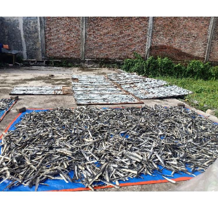 

Serba Murah.. Kerupuk kulit ikan patin original mentah kemasan 250gr PT6