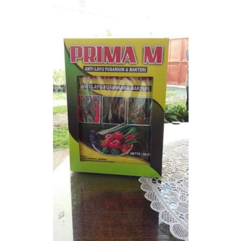 

PRIMA M 100 GR