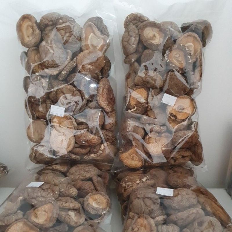 

Jamur Hioko kering Super Premium 1kg Vegan Vegetarian Dried Mushroom