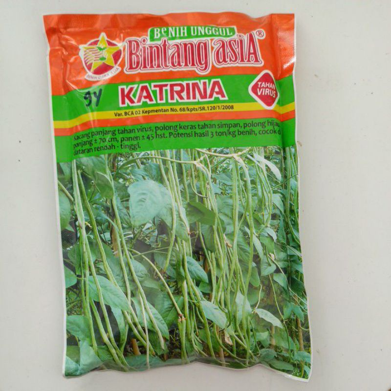 

Kacang Panjang Katrina