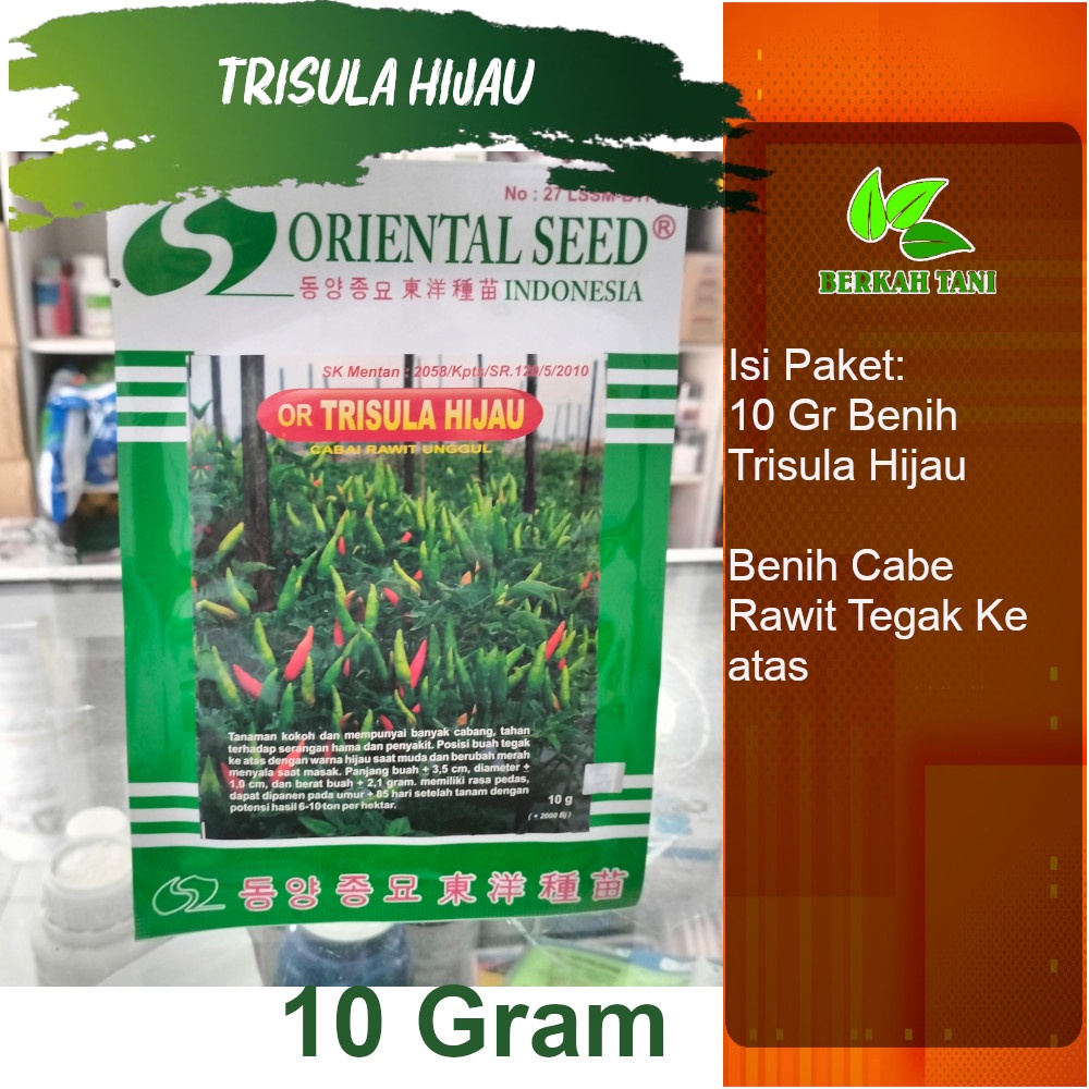 Benih Trisula Hijau 10 Gram Benih Cabe Rawit Hijau Tegak