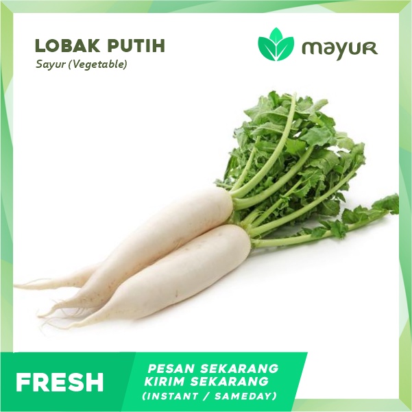 

Lobak Putih Segar (1 pcs)