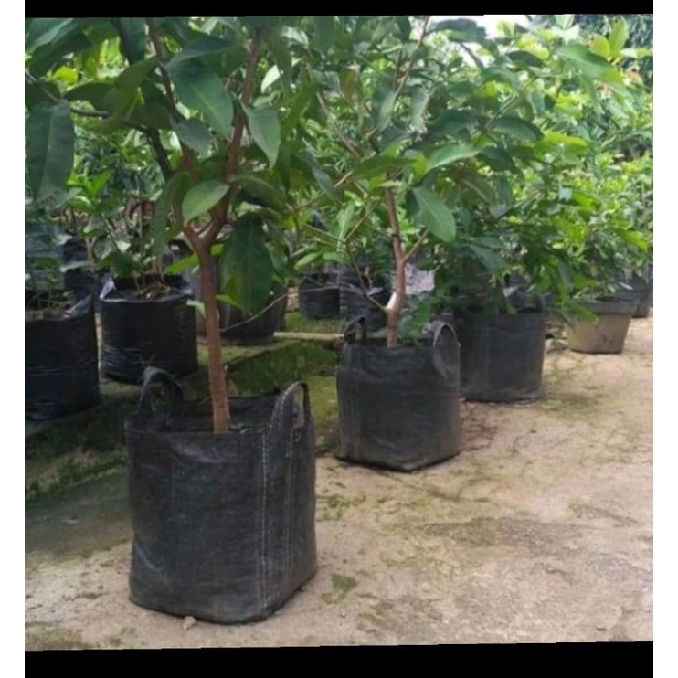 Planter bag 100 liter pot tanaman