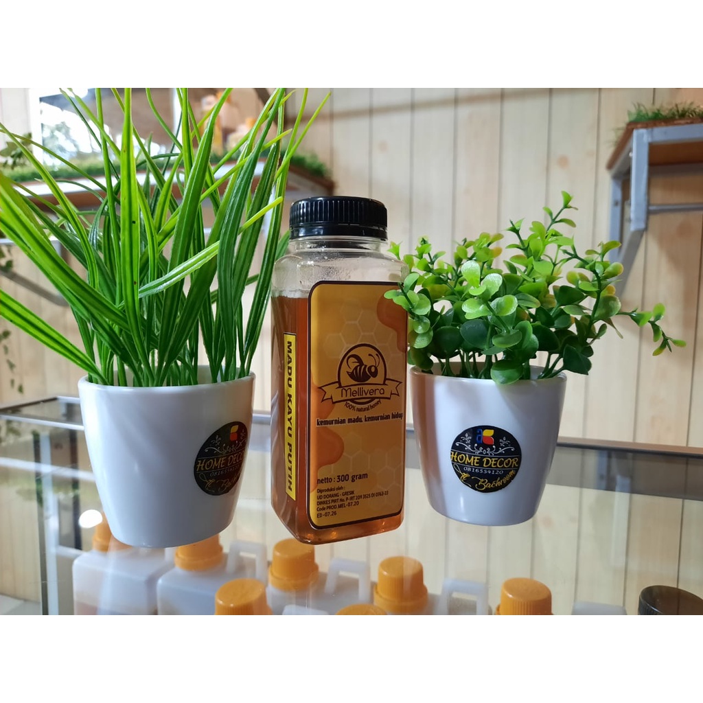 

Madu Murni Asli Bunga Pohon Kayu Putih 300g