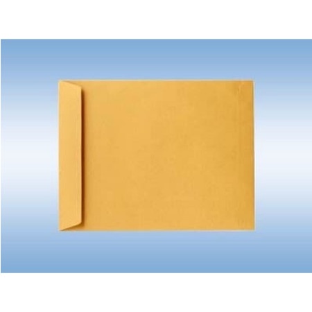 

Terbatas Amplop Gaji / Amplop Coklat Kabinet Namas / Gand / Royal Hemat
