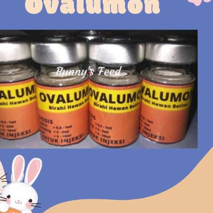 Hotア Ovalumon 5 ml - Obat Birahi Hewan Betina Kelinci Kucing Kambing Sapi