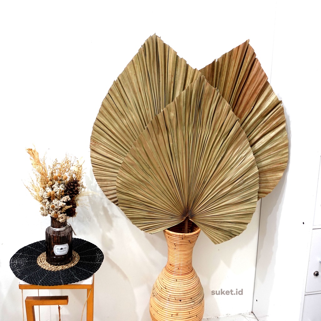 DAUN PALEM BESAR / DAUN PALEM KERING