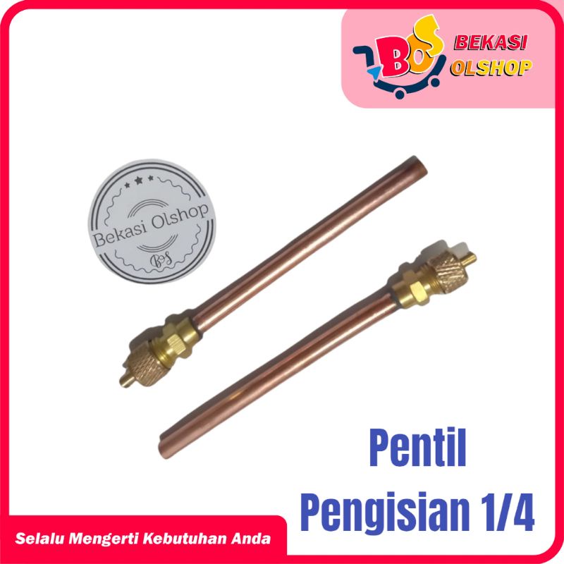 Pentil Pegisian 1/4