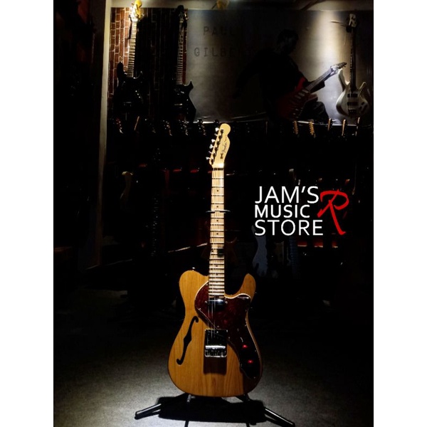 Gitar Electrik Fender Thinline Telecaster Elite Costum