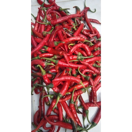 

cabe merah besar, cabe besar berat 500g