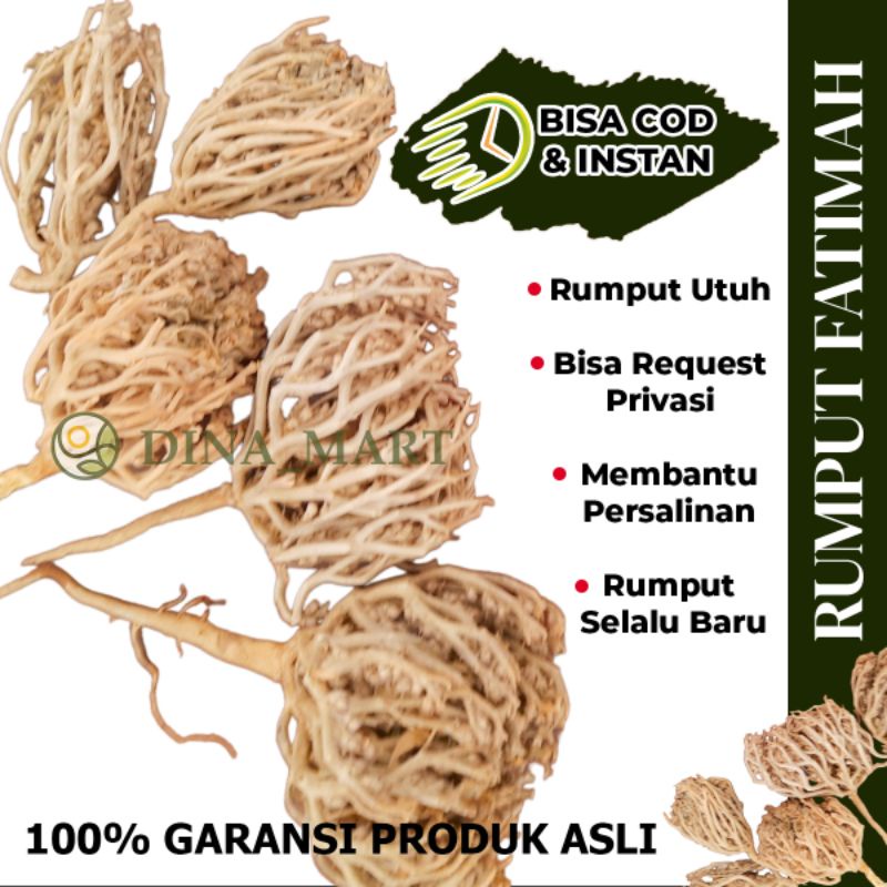 

Herbal Rumput Fatimah Asli Saudi Arabia Untuk Melancarkan Persalinan