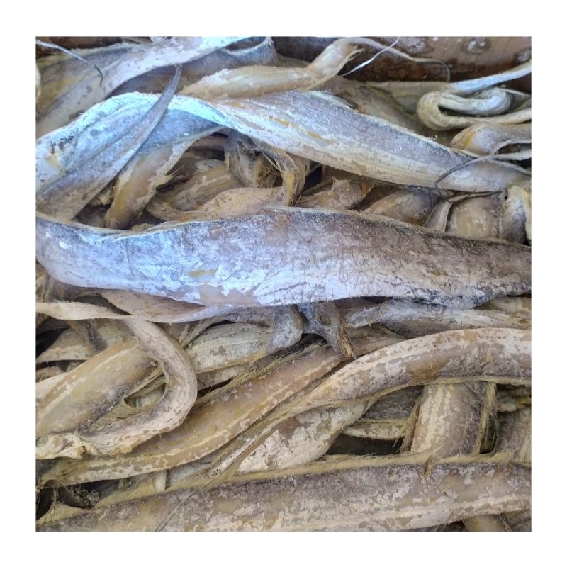 

ikan layur besar