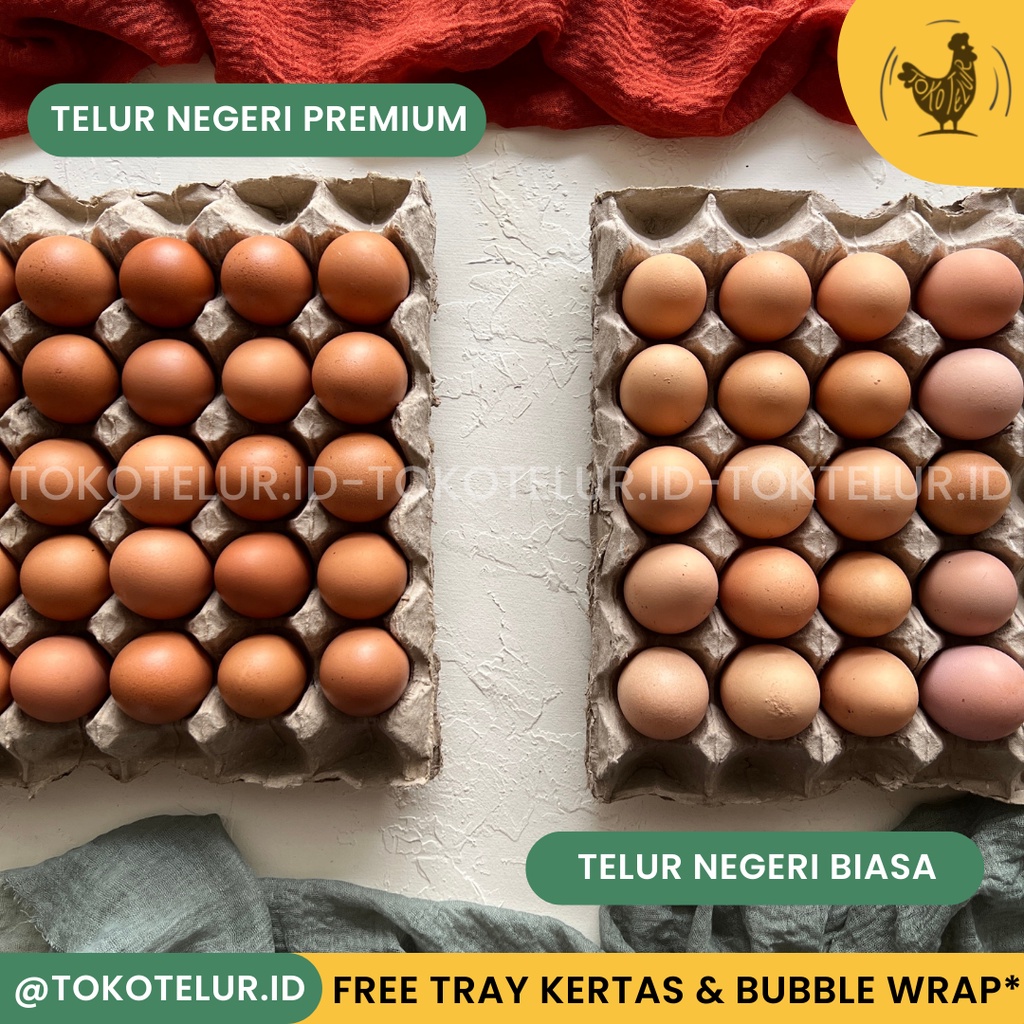 Telur Ayam Negeri FRESH-Segar/kg