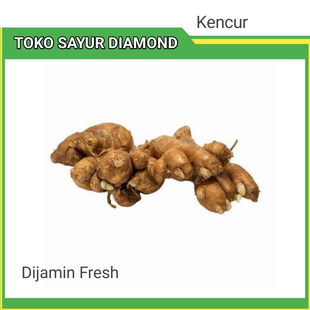 

Kencur 100 Gram Fresh