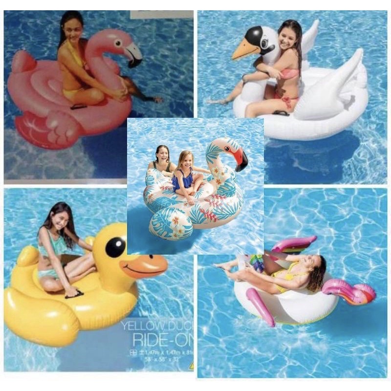 BAN RENANG JUMBO ANAK FLOATING RIDE ON UNICORN TURTLE WHALE DOLPHIN SWAN ANGSA KURA KURA LUMBA LUMBA