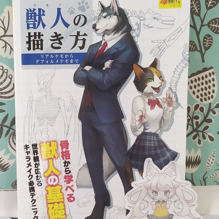 Import Book How To Draw Anthro / Furry / Animal / Beastmen [Kemono]