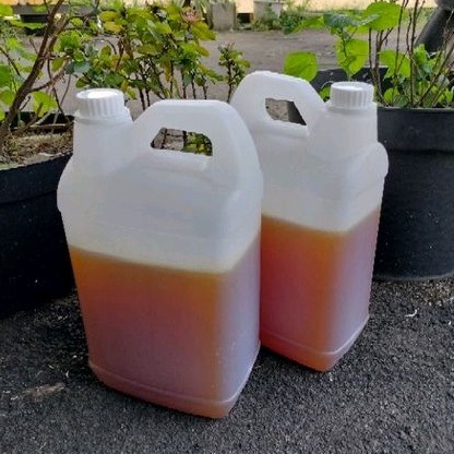 

Madu Curah Hutan Sialang Premium 5kg
