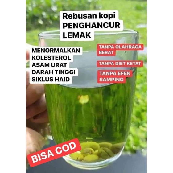 

kopi kesehatan UGC(umi green coffee)