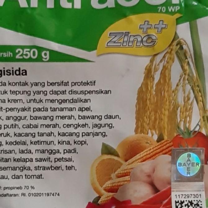 

FREE ONGKIR!Antracol 250gram|KD8