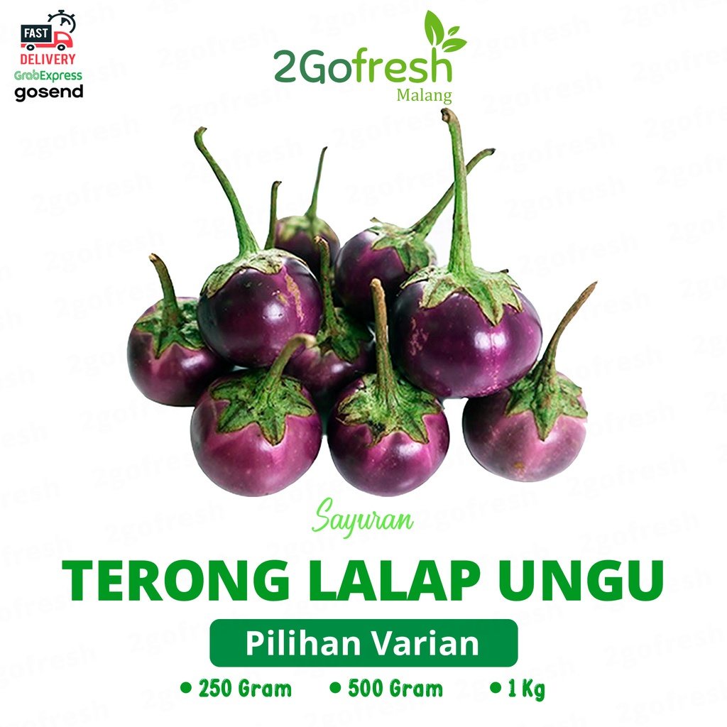 

Terong Ungu Lalap/ Mini/ Kecil Fresh - Sayur Sayuran
