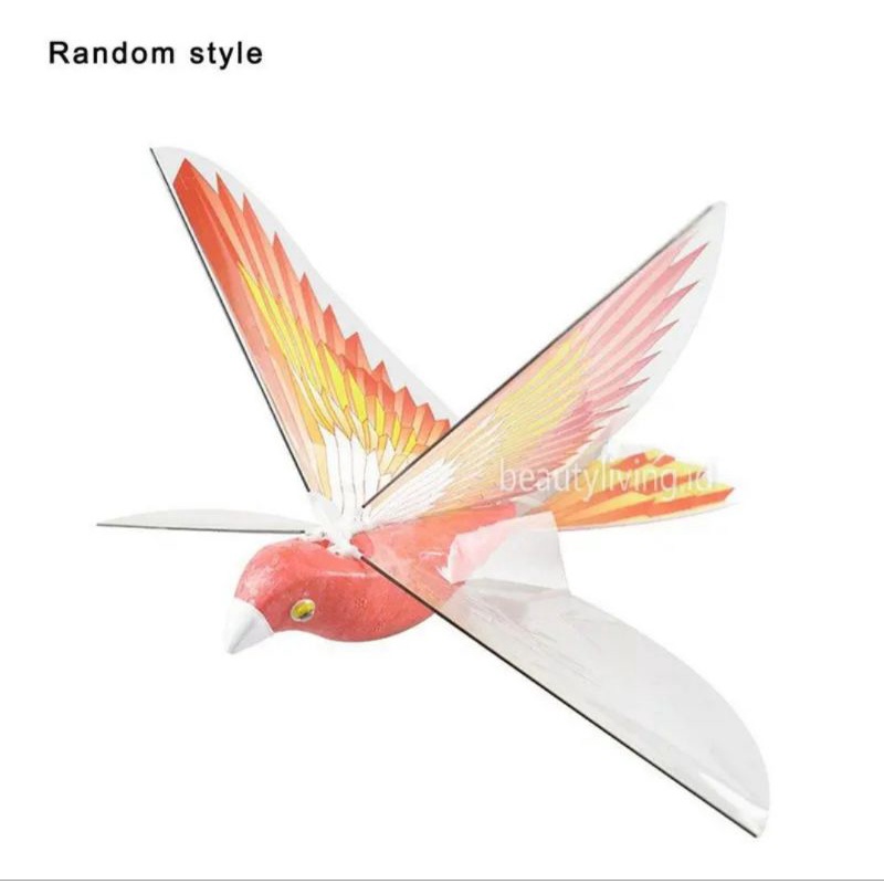 Flapping Simulation Flying Wing Bird C