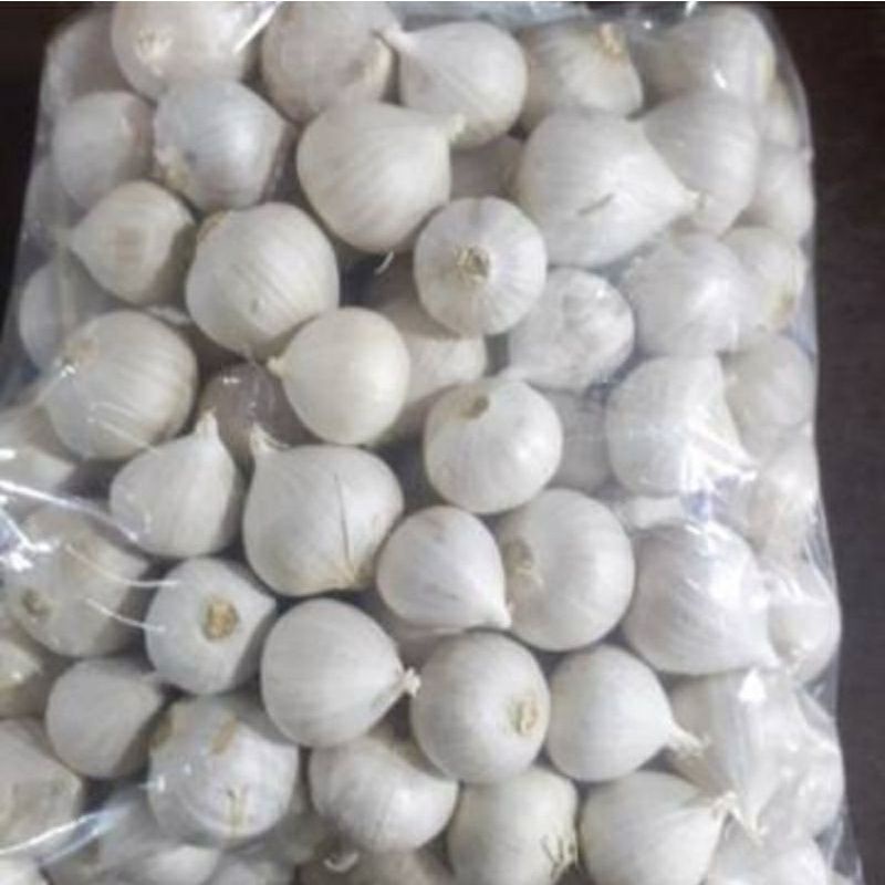 Jual Bawang Putih Tunggal Super Gram Lanang Putih Super Free Kardus