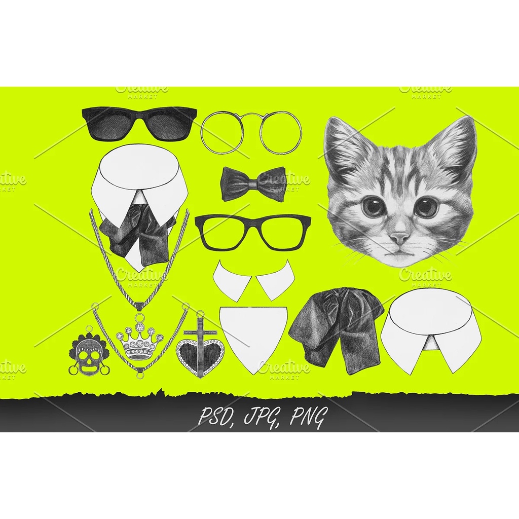 Cat Fashion