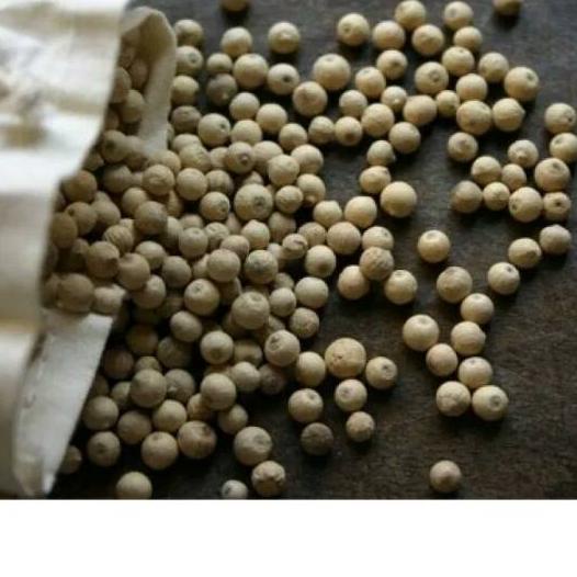 

Diskon✔️Merica putih lada kalimantan 1kg super biji besar|KD2