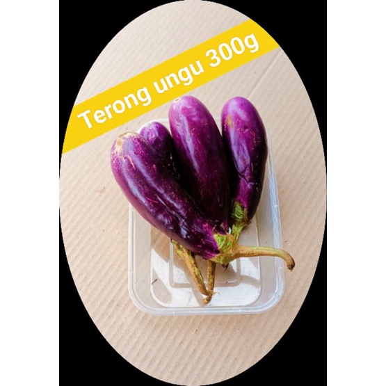 

KIRIM INSTAN terong ungu termurah