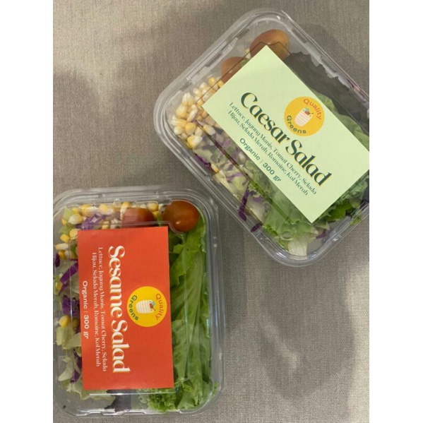 Mika MB 500 (bisa muat buah 1/2 kg)  isi 30 pcs