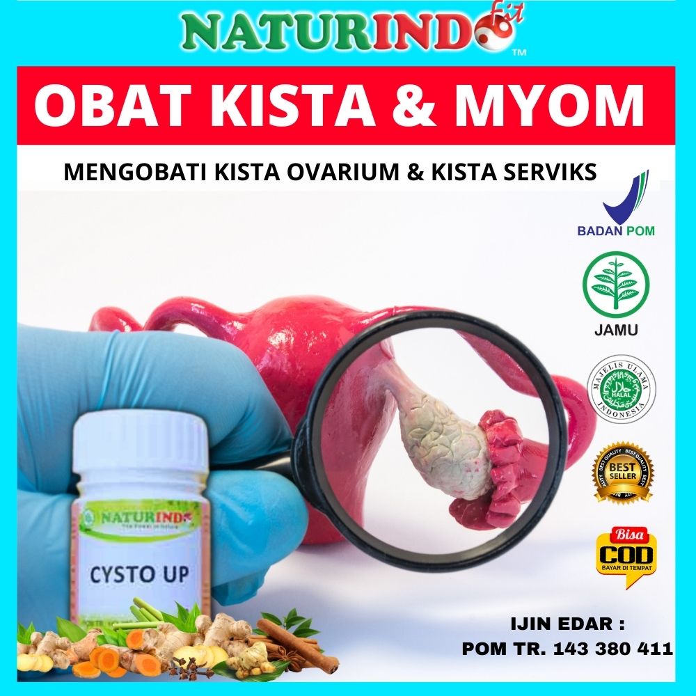 Jual Obat Kista Miom Benjolan Di Vagina Kista Bartholin Ovarium Miom