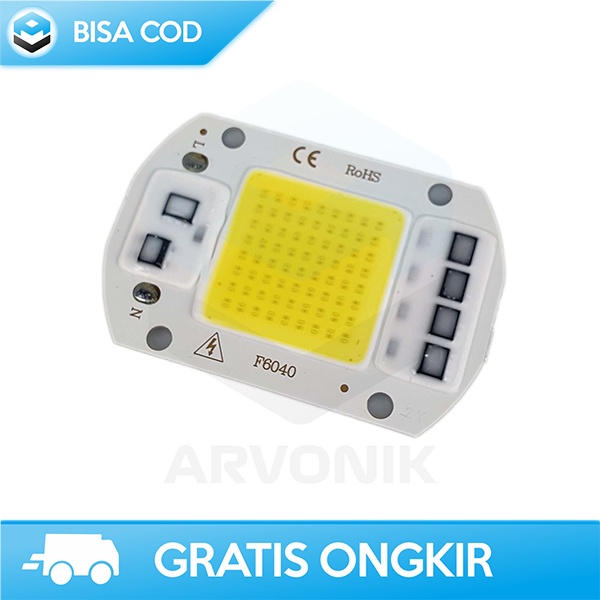 CHIP LAMPU LED LAMPU HIAS DEKORASI SPOTLIGHT COB LED COOL WHITE 220V