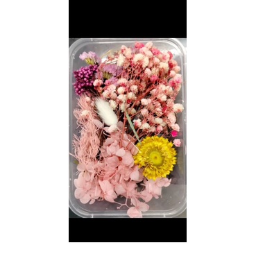Dried flower Pressed flower Box bunga kering import random mix