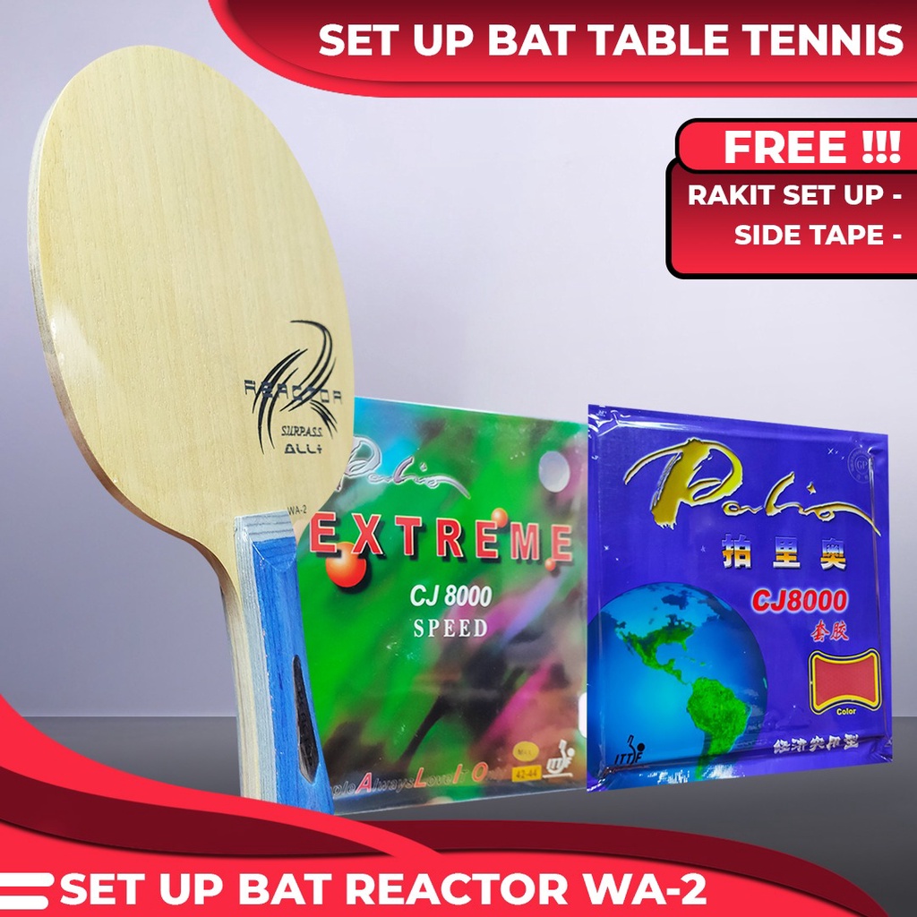 Setup Tenis Meja Reactor WA-2 Palio CJ8000 Speed CJ8000 Economy