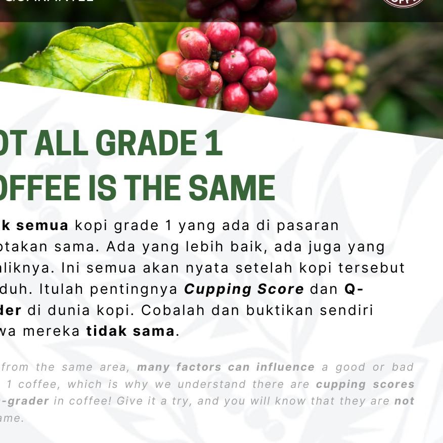 

COD✔️Papua Wamena | Kopi Arabica Premium BUBUK / BIJI Murni MURRELL COFFEE|KD6