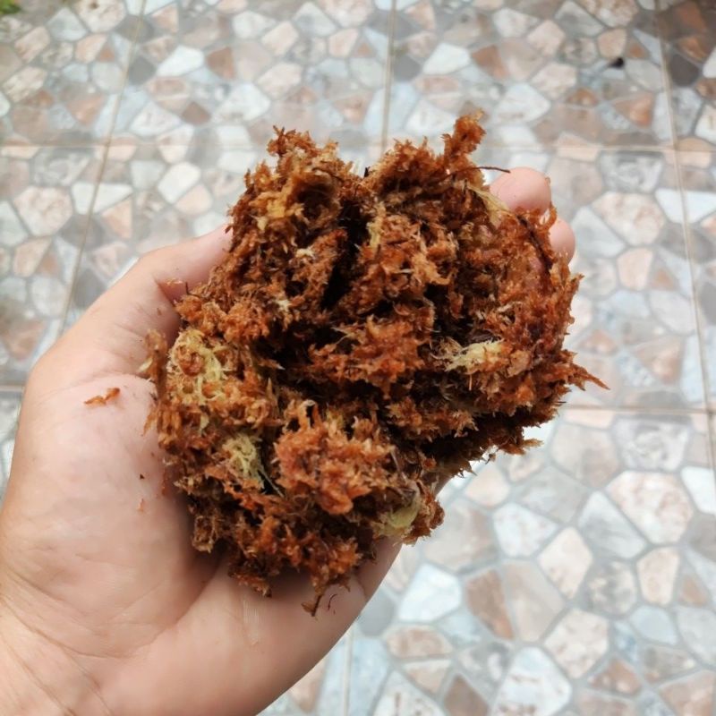 Sphagnum Moss Chille Premium Quality 5kg