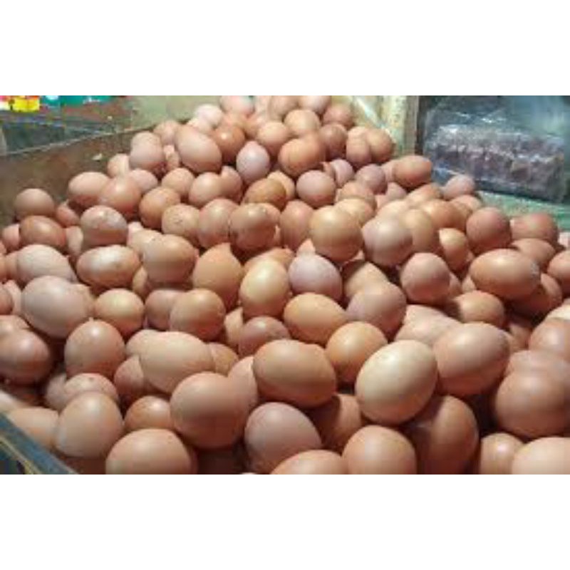 

Telur Ayam 1 Kg